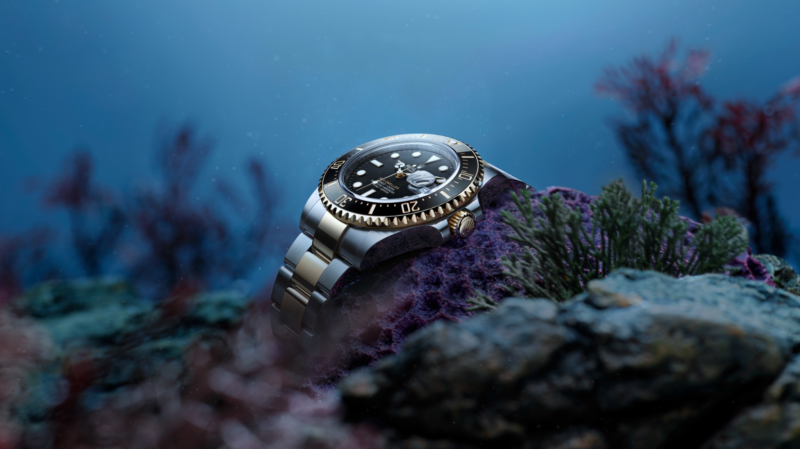 Rolex Sea-Dweller from Razny Jewelers in Chicago